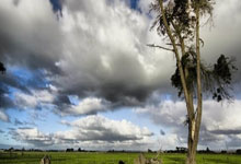 不伦瑞克在客场比赛中取得胜利