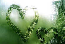 汉诺威96在比赛中表现出色