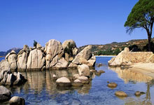 汉诺威96在比赛中表现出色