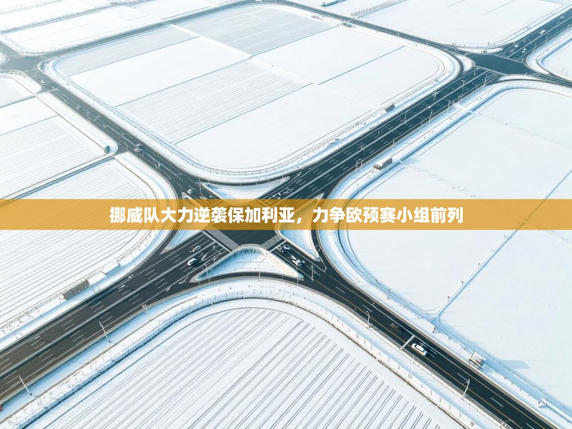 挪威队大力逆袭保加利亚,力争欧预赛小组前列 第1张