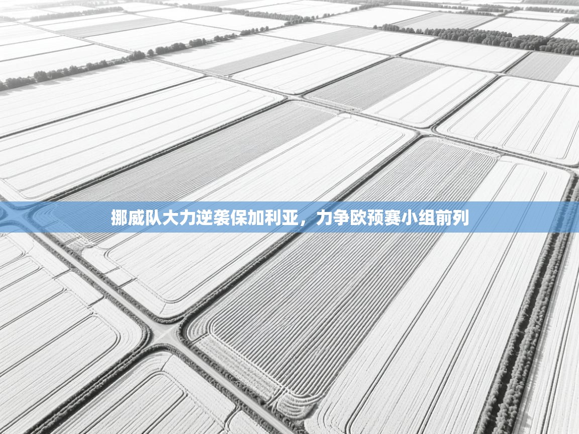 挪威队大力逆袭保加利亚,力争欧预赛小组前列 第2张