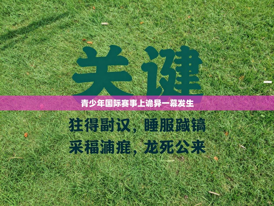 青少年国际赛事上诡异一幕发生  第2张