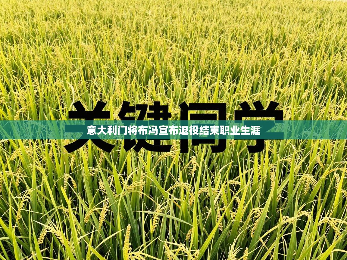 意大利门将布冯宣布退役结束职业生涯  第2张