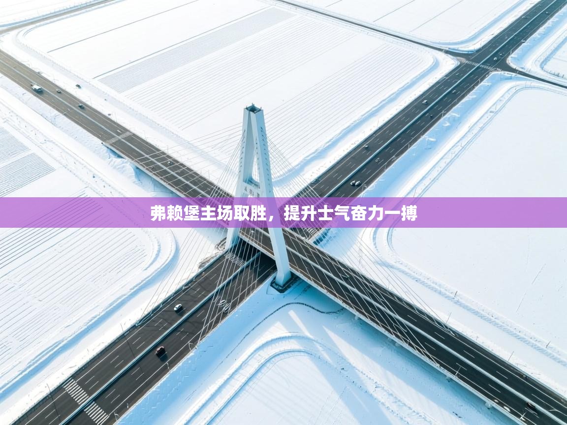 弗赖堡主场取胜，提升士气奋力一搏  第2张