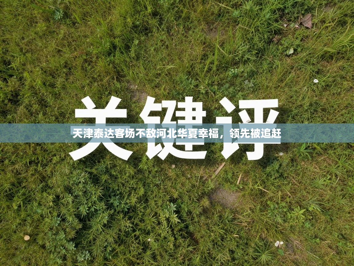 天津泰达客场不敌河北华夏幸福，领先被追赶