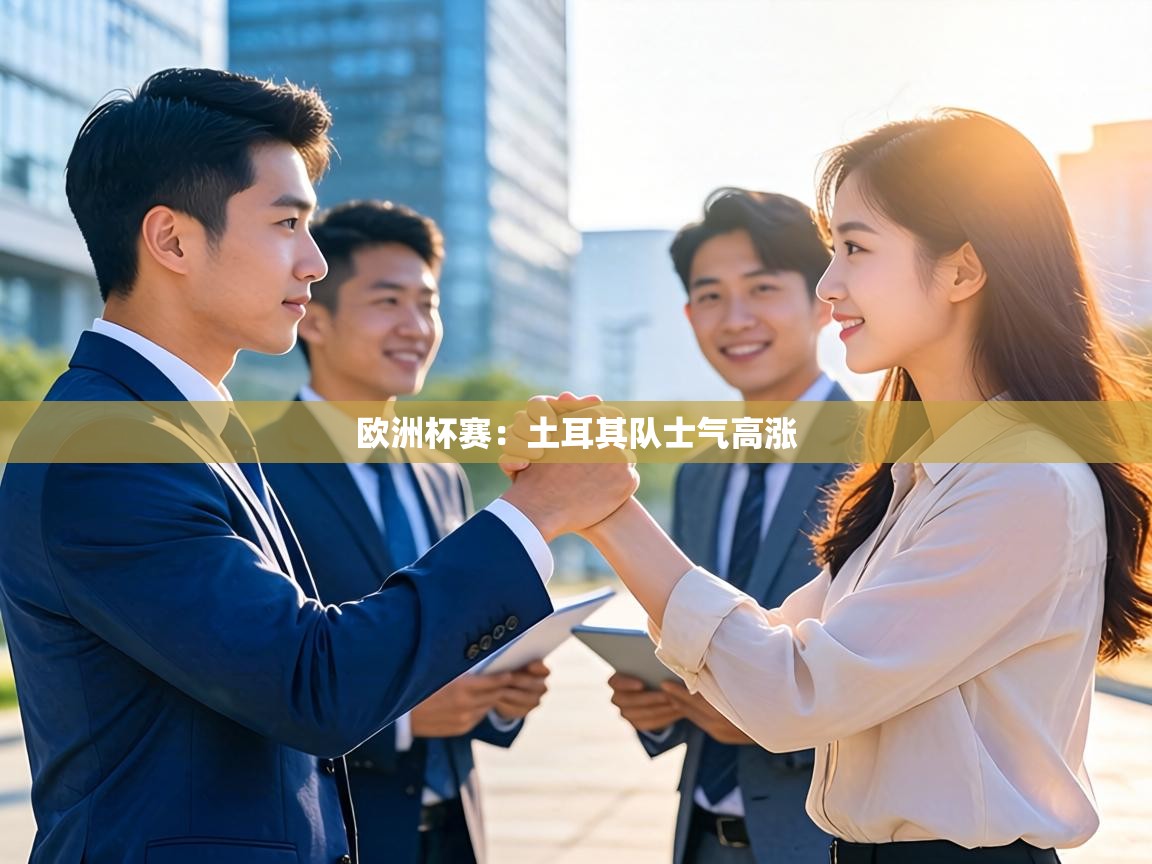 欧洲杯赛：土耳其队士气高涨  第1张